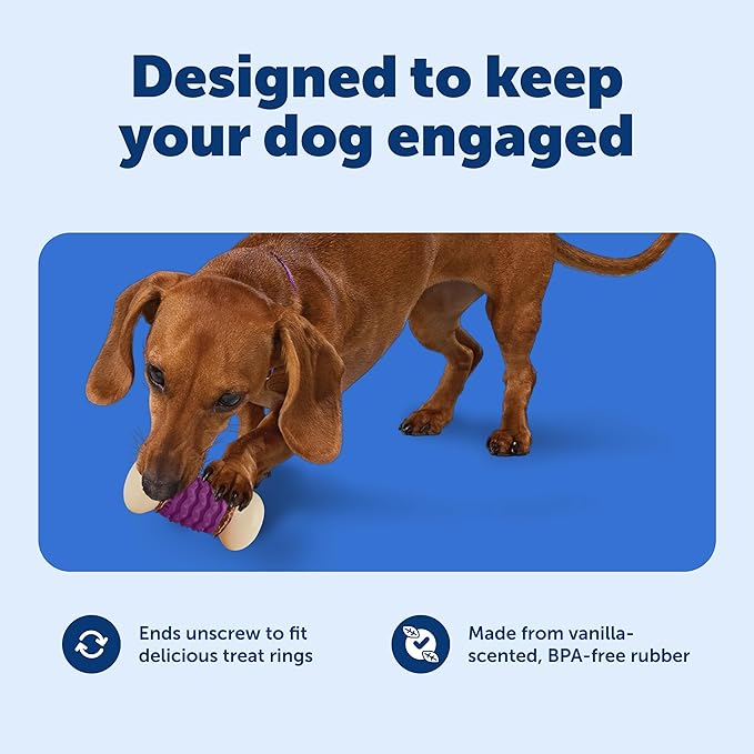 PetSafe Busy Buddy Nobbly Nubbly Treat Holding Dog Toy Strong Chewers Large - Image 3