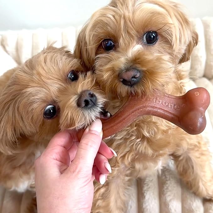 Nylabone Strong Chew Dog Toy 4-Pack Made - Image 5