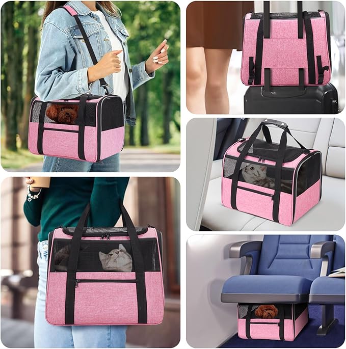 JUNGYOUN Premium ​Cat Carrier - Image 2