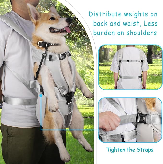PetBonus Pet Front Dog Carrier Backpacks, Adjustable Pet Backpack, Legs Out - Image 3