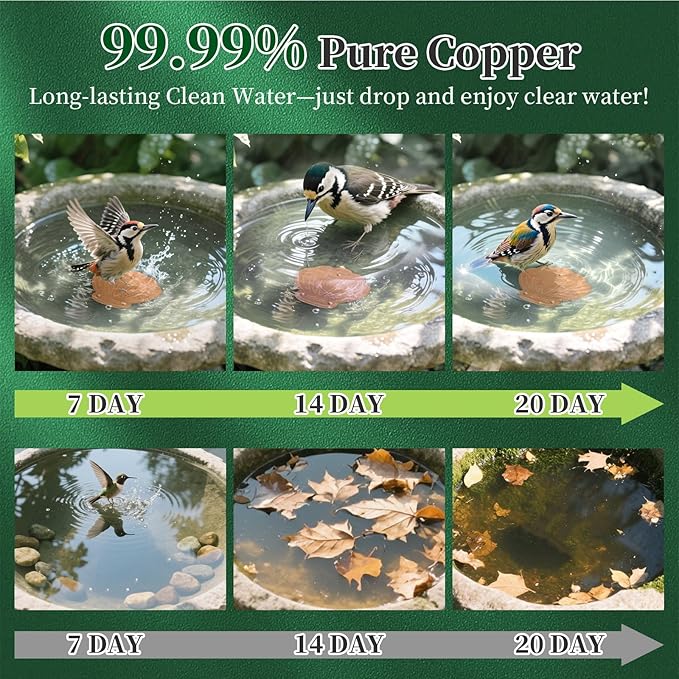 Bird Bath Copper Disk - Image 2