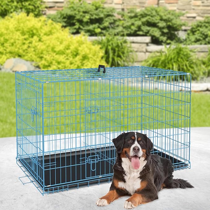BestPet | Dog Crate | 48" | Blue | Foldable Metal Kennel - Image 2