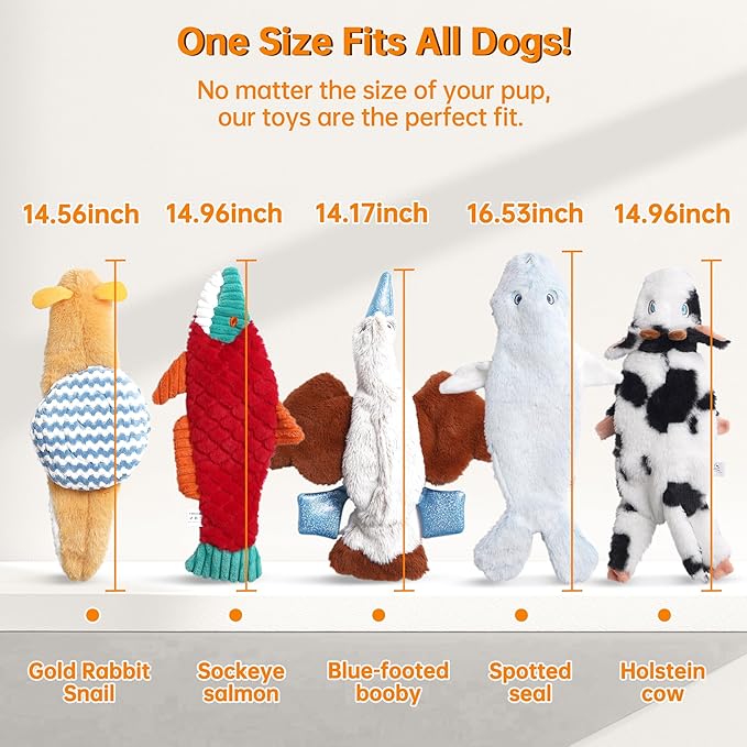 Nocciola Squeaky Dog Toys, No Stuffing Dog Toys - Image 6