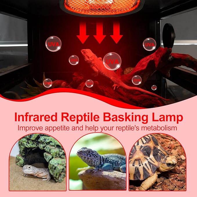 G9 Reptile Infrared Heat Lamp, Terrarium Heating Lamp Fixture - Image 4