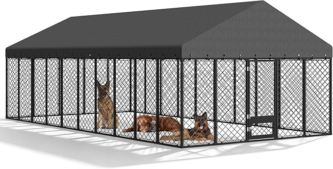 10x20FT Heavy-Duty Outdoor Dog Kennel by MASIONBACKYARDS