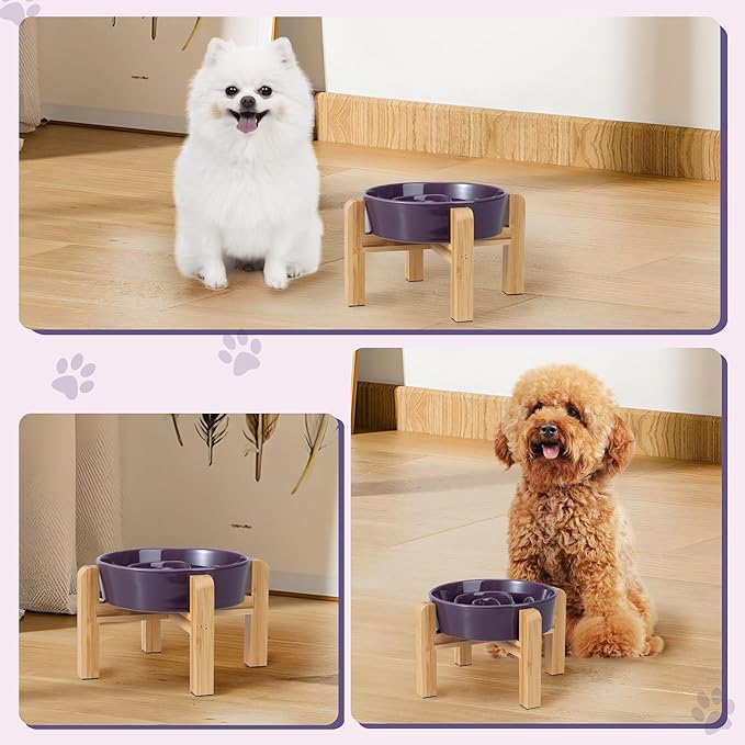 Elevated Slow Feeder Dog Bowl - Image 6