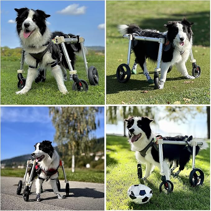 4 Wheel Dog Wheel Chair Leg Brace Adjustable, Back Leg Dog Wheelchair, Dog - Image 6