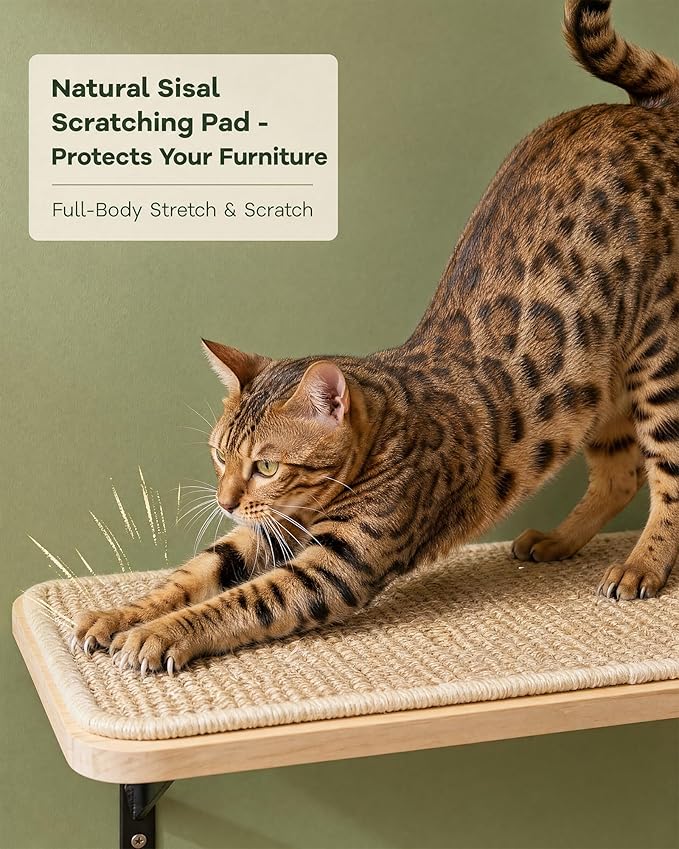 2PCS Cat Wall Shelves with Scratching Mat, 16.6x9.7 Inch Solid Pine Wood Wall - Image 4