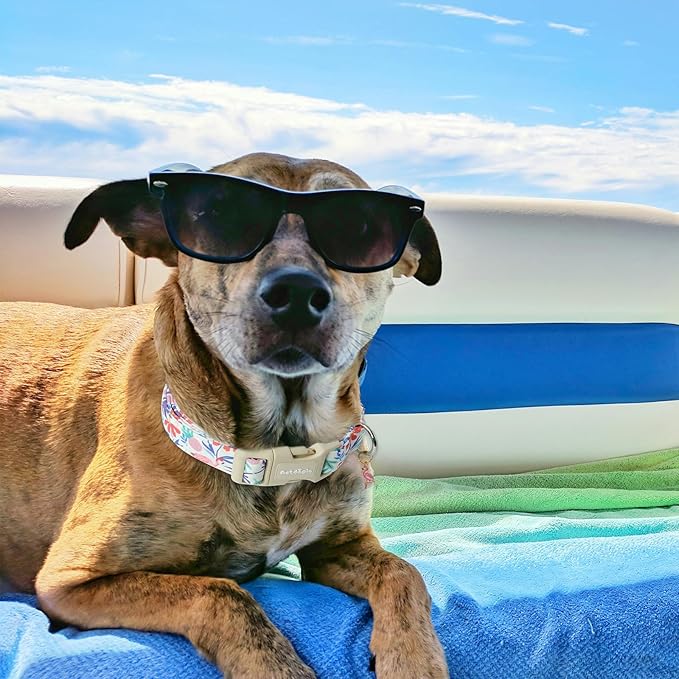 Summer Dog Collar for Small Dogs，Cute Puppy Collars - Image 6