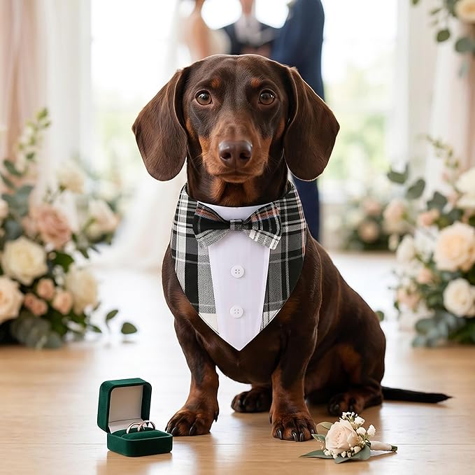 ADOGGYGO Black Dog Tuxedo Bandana, Plaid Bow Tie Collar, Adjustable Black Plaid - Image 4