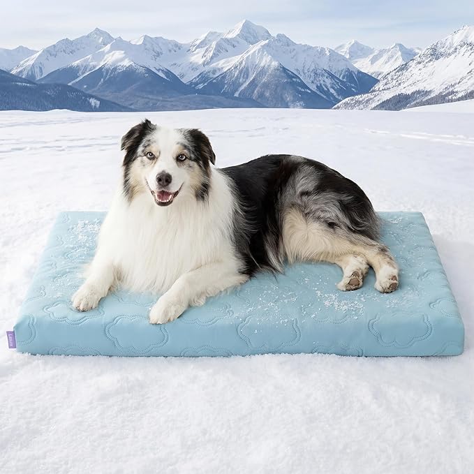 LE SURE Cooling Dog Bed, XL Q-Max>0.5 Cooling Mat by Lesure