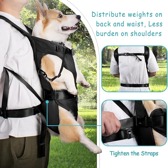 PetBonus Pet Front Dog Carrier Backpacks, Adjustable Pet Backpack, Legs Out - Image 3