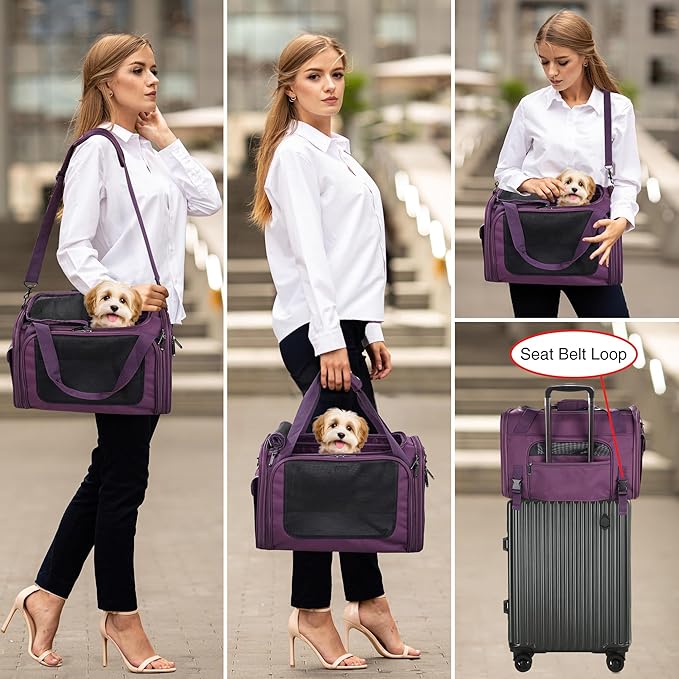 EliteField Deluxe Soft-Sided Pet Carrier, Travel Bag - Image 3