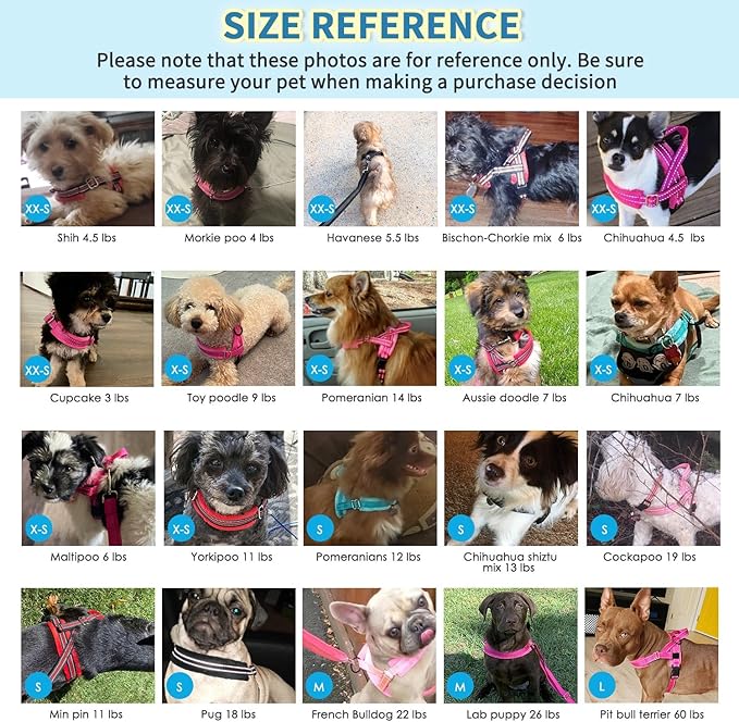 Lukovee Soft Padded Small Dog Harness - Image 8