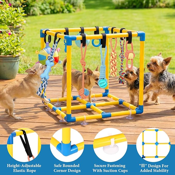 WLLEYAY Puppy Play Gym for Small Dogs - Image 3
