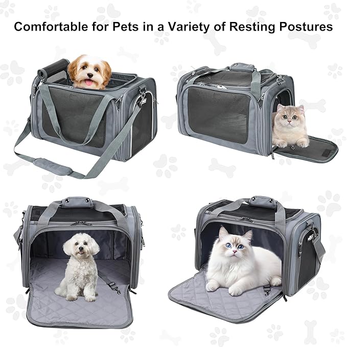 EliteField Deluxe Soft-Sided Pet Carrier, Travel Bag - Image 2