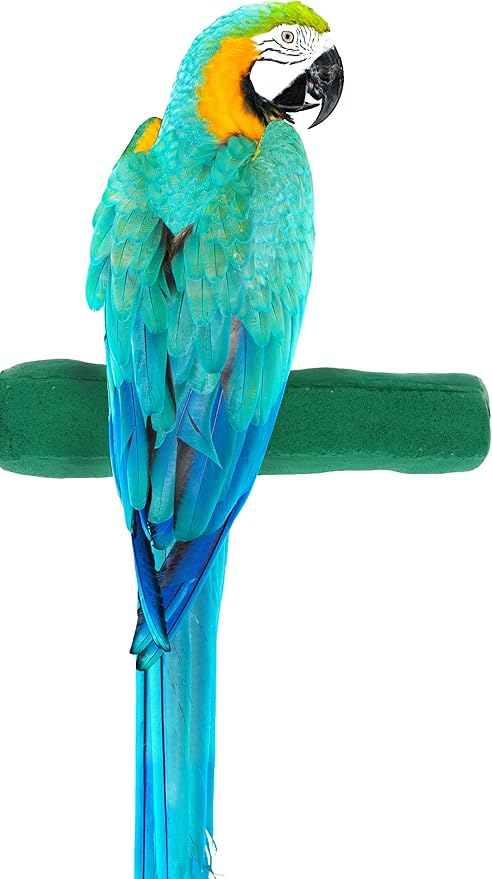 Sweet Feet and Beak Comfort Grip Safety Perch by SweetFeetBeak