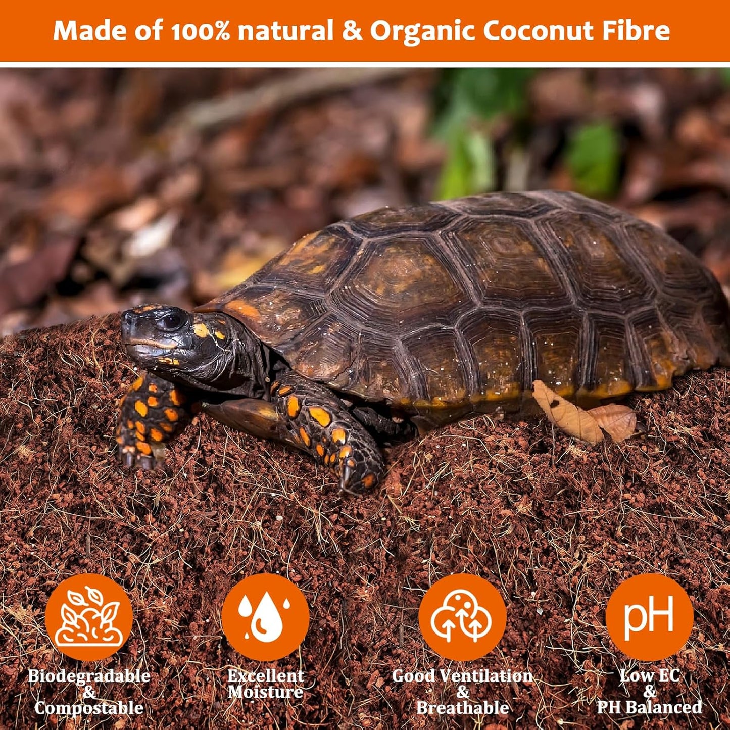 Riare 2 Pack Natural Coconut Fiber Substrate for Reptile- Premium Compressed Coconut Husk Terrarium Bedding for Reptile, Tortoise, Frogs, Snakes Hermit Crabs, Burrowing Animals