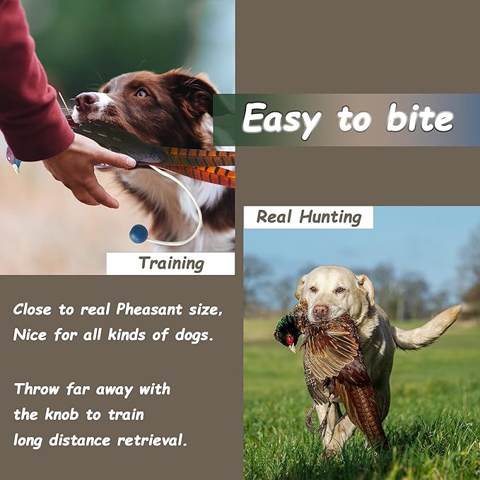fingig 2 Pcs Pheasant Dummy Bumper Toy - Image 4
