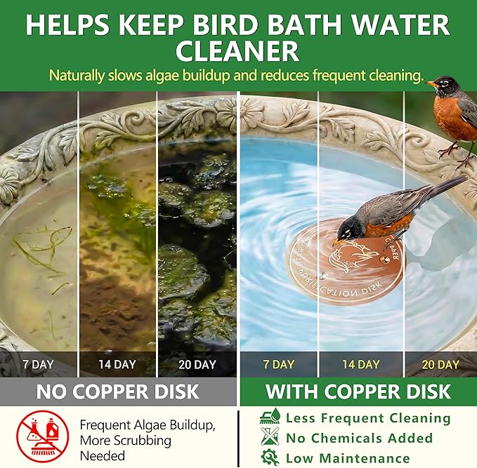 Factee Bird Bath Copper Disk – 0.6mm Thick 99.9% Pure Copper Cleaning Disk - Image 2