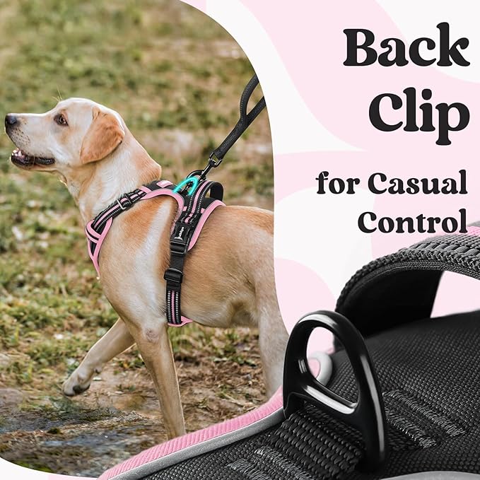 rabbitgoo Dog Harness for Large, No Pull Easy On & Off - Image 5
