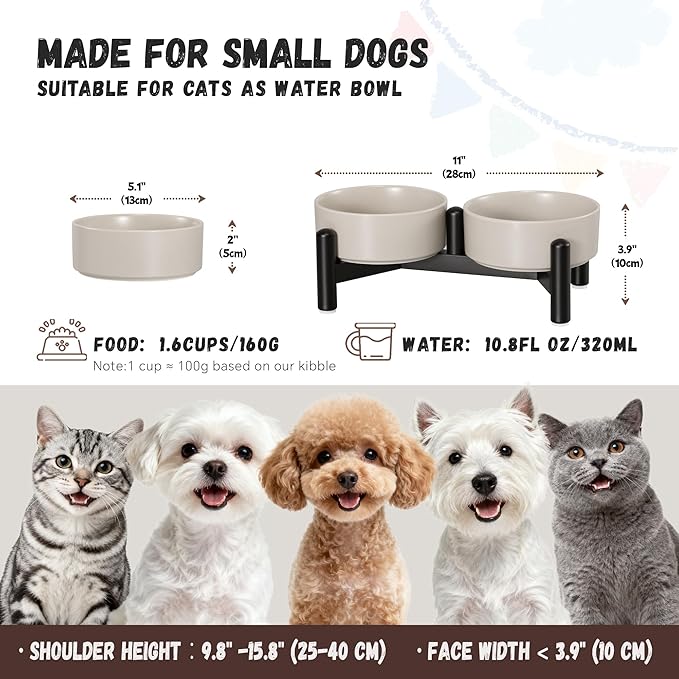Raised Ceramic Dog Bowl Set - Image 2