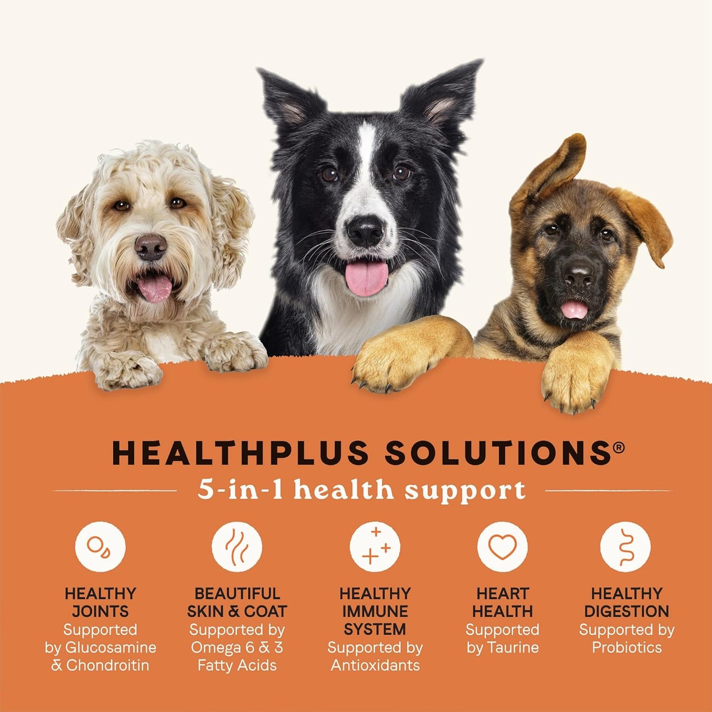 Canidae All Life Stages Real Chicken & Potato Recipe – High Protein and Grain-Free Premium Dry Dog Food for All Ages, Breeds, and Sizes– 4 lbs.