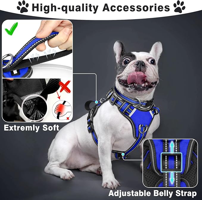 WINSEE All-in-One Reflective Dog Harness, Collar & Leash Set, No Pull - Image 2