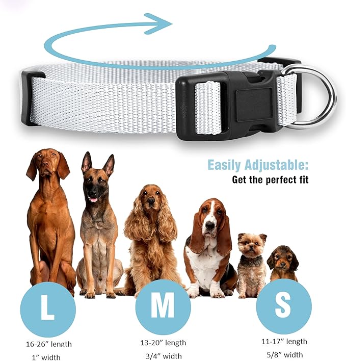 Native Pup Basic Nylon Dog Collar, Adjustable - Image 3