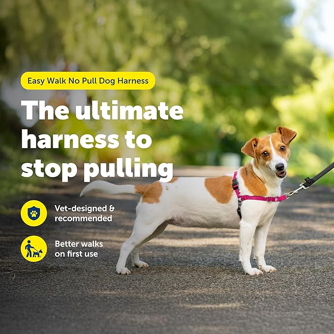 PetSafe Easy Walk No-Pull Dog Harness - Image 2