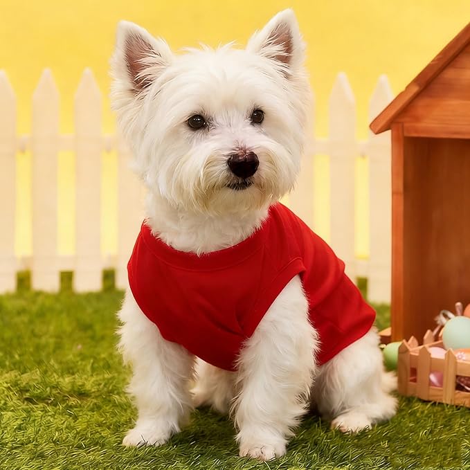 Custom Dog Shirt, Personalized Dog Clothes - Image 6
