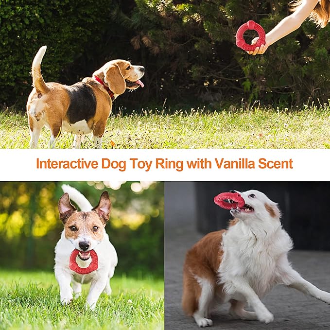Dog Chew Toys 4 Pack, Dog Toys for Aggressive Chewers Small Medium Large Breed - Image 6