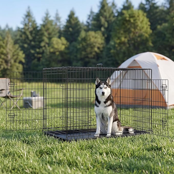 Sweetcrispy 48 Inch Dog Crate, Medium Large Crates Double Door Folding Metal - Image 6