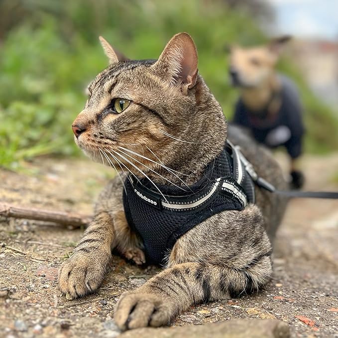 rabbitgoo Cat Harness and Leash, Step-in Escape Proof Kitten Harness Set - Image 9