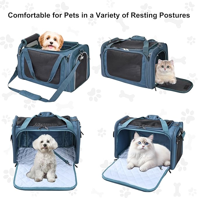 EliteField Deluxe Soft-Sided Pet Carrier, Travel Bag - Image 2