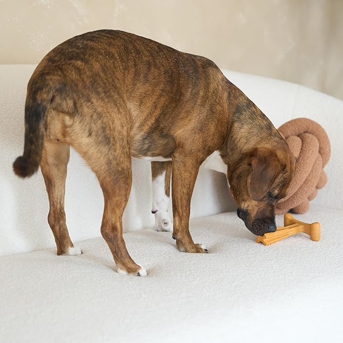 SPOT Bam-Bones Plus T Bone - Image 11