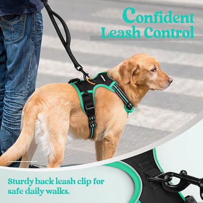 rabbitgoo Dog Harness No Pull - Image 6