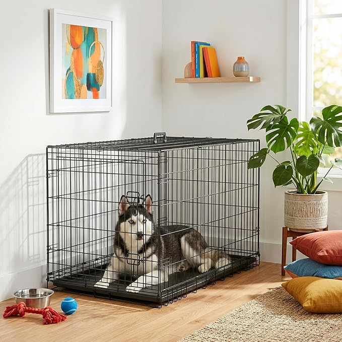 FDW Dog Crate 42-Inch Dog Cage Single Door Foldable Metal Kennel - Image 2
