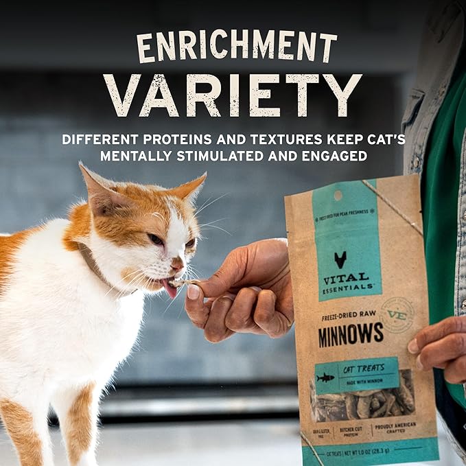Vital Essentials Freeze Dried Minnows Cat Treats | Single Ingredient | Premium - Image 6