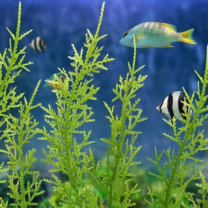 QUOZUO Fish Tank Accessories Large Plants, Aquarium Decor Plastic Plants 3pcs - Image 7