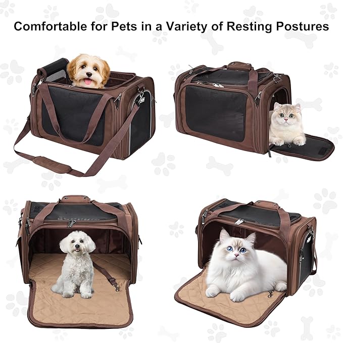 EliteField Deluxe Soft-Sided Pet Carrier, Travel Bag - Image 2