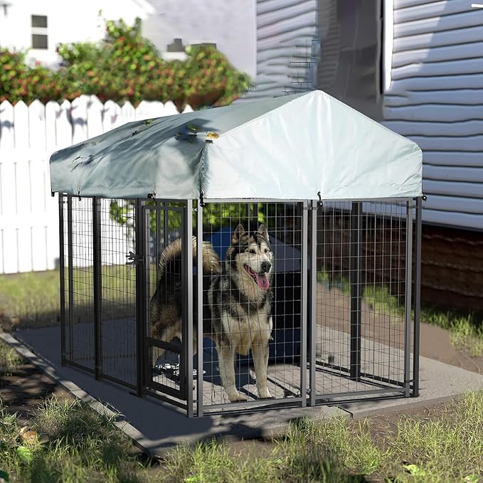 LEMBERI 6x4x4 Outside Dog Kennel - Image 3