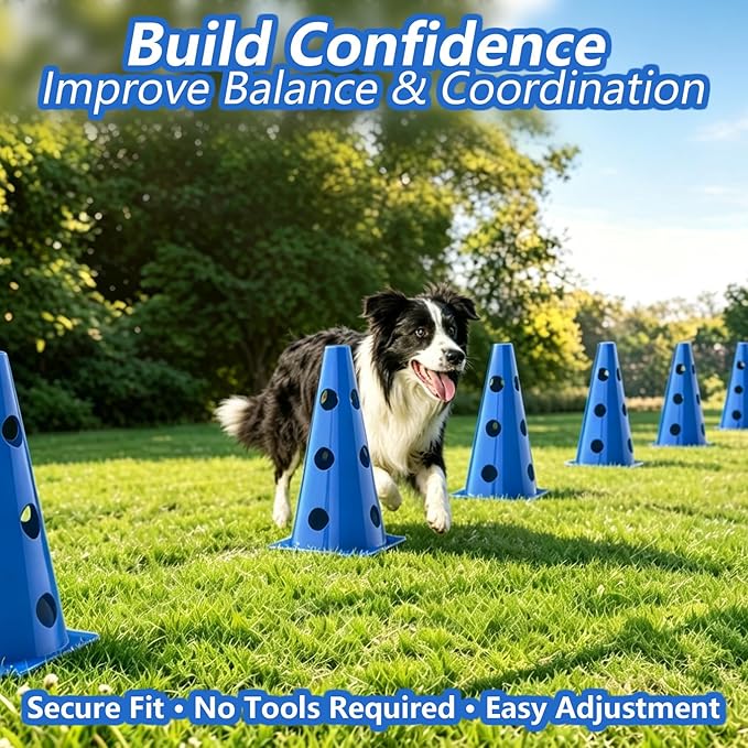 Dog Agility Hurdle Cone Set, Adjustable Height Dog Agility Course - Image 5