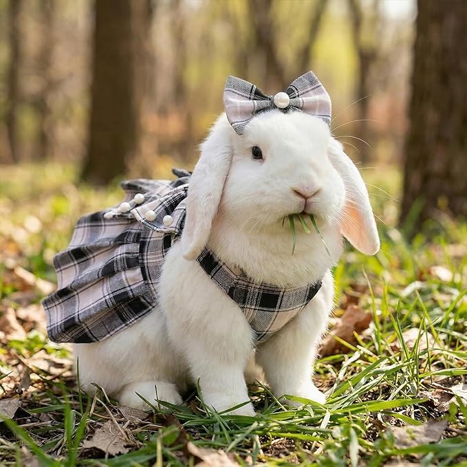 Cute Plaid Dog Dress Clothes for Small Dogs Cats Girl Black and Pink Plaid Dog - Image 6
