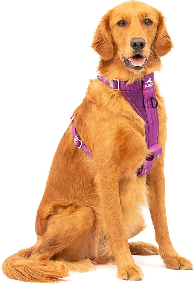 Kurgo Enhanced Strength Tru-Fit Dog Car Harness by Kurgo