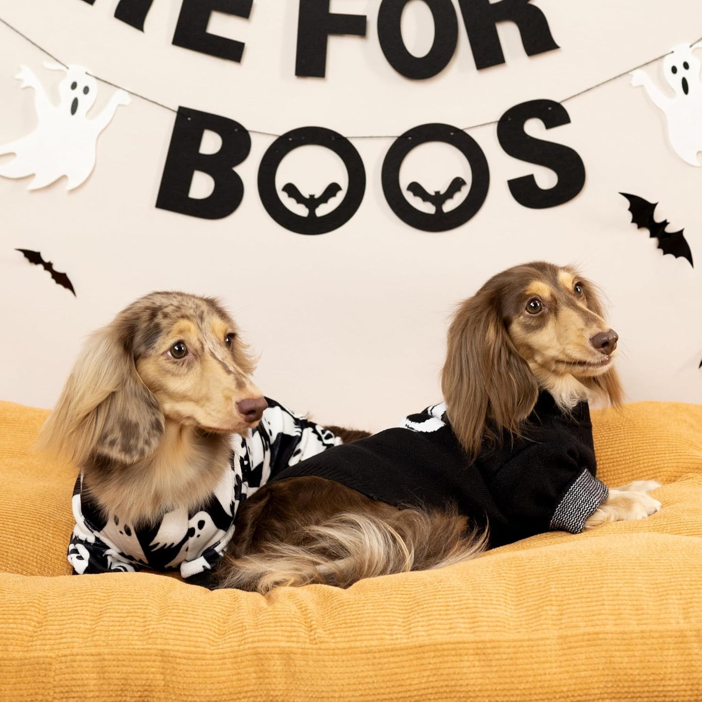 Fitwarm Halloween Ghost Dog Pajamas, Funny Halloween Costumes for Dogs, Fleece Dog Onesie with Feet, Doggy Clothes for Small Dogs Boy Girl, Pet Apparel, Black, White, XS