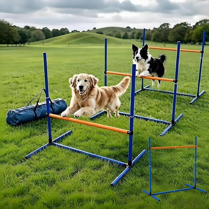 Adjustable Dog Agility Jump Set by Unknown