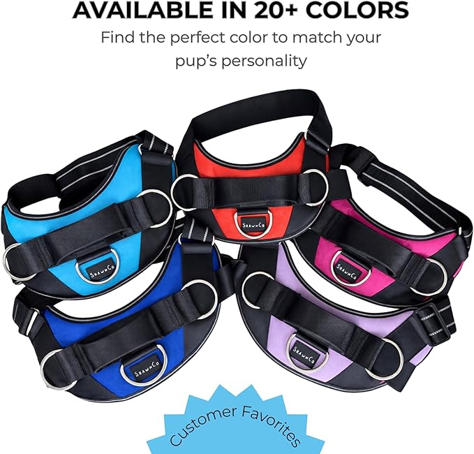 ShawnCo Essential Dog Harness, No-Pull Pet Vest - Image 7