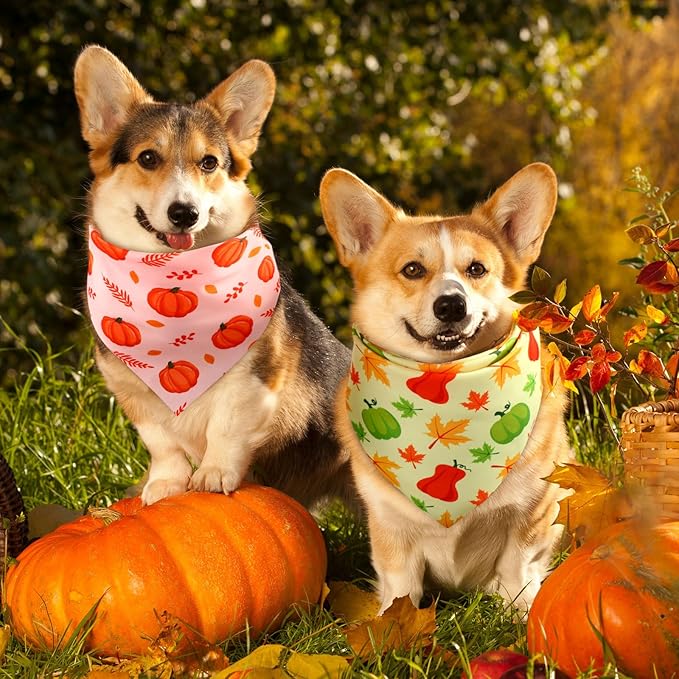 Preboun 50 Pcs Fall Thanksgiving Dog Bandana Bulk Pumpkin Maple Leaves Bandana - Image 4