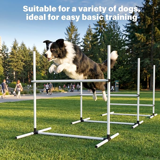 Adjustable Dog Agility Jump Set - Image 4